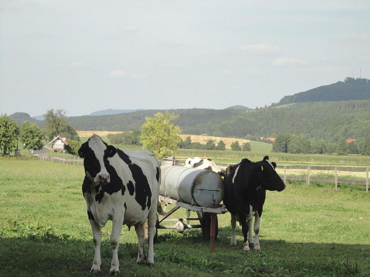 Monteurwohnungen Goeb - Nicht Fuer Urlaubsgaeste Geisa Luaran gambar