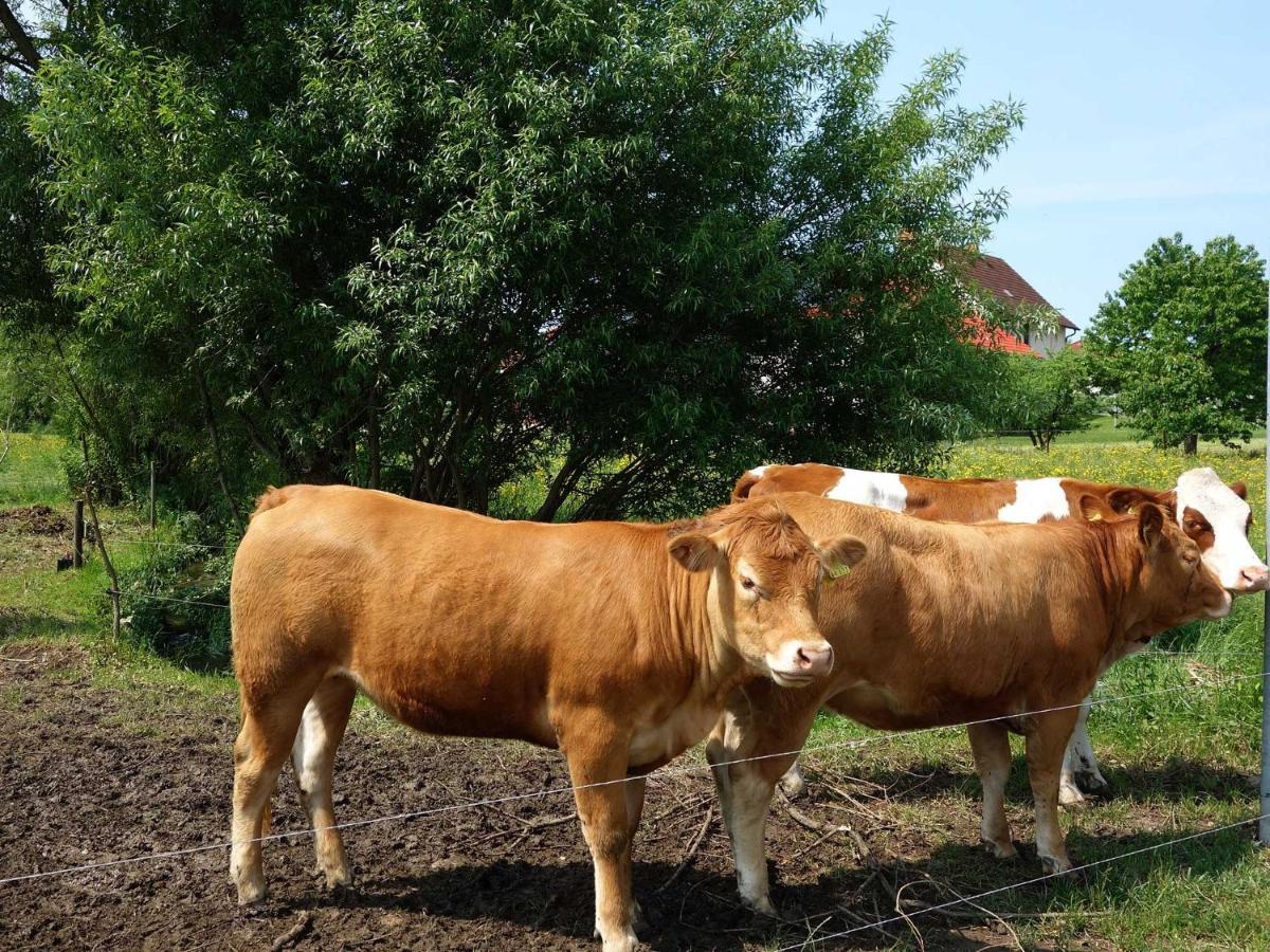 Monteurwohnungen Goeb - Nicht Fuer Urlaubsgaeste Geisa Luaran gambar